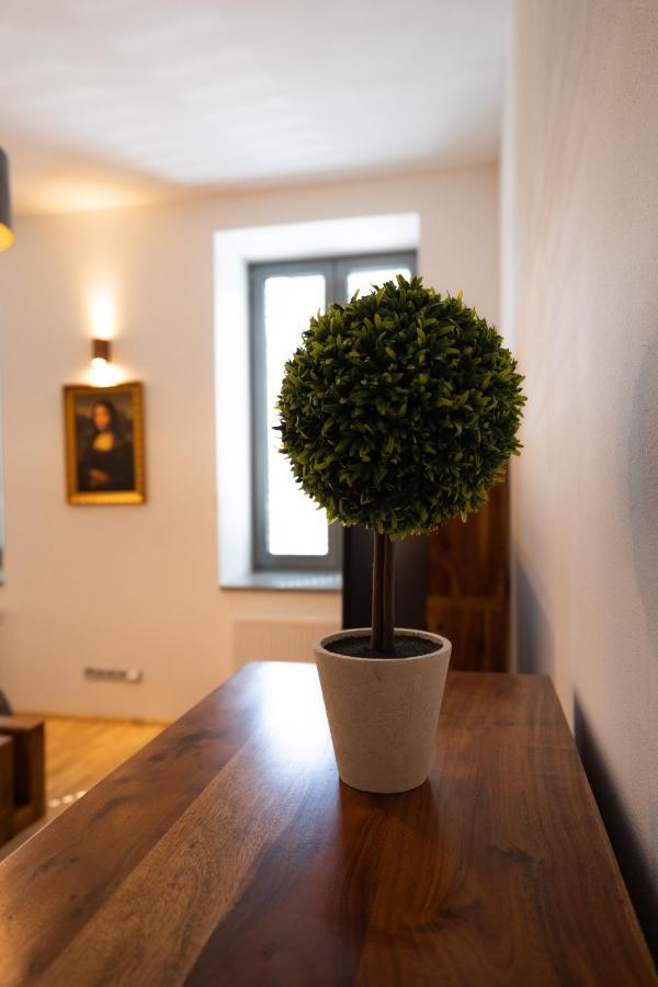 Black Field Apartment Brno Eksteriør bilde